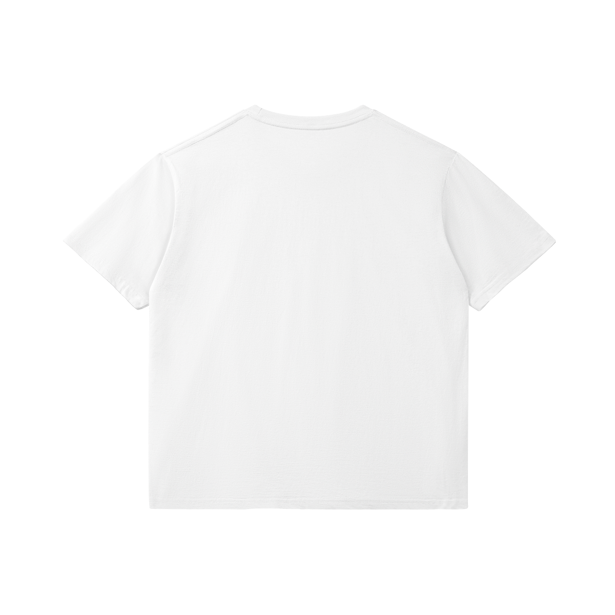 0-Y06-Back Side